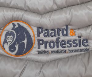 paard en professie 1